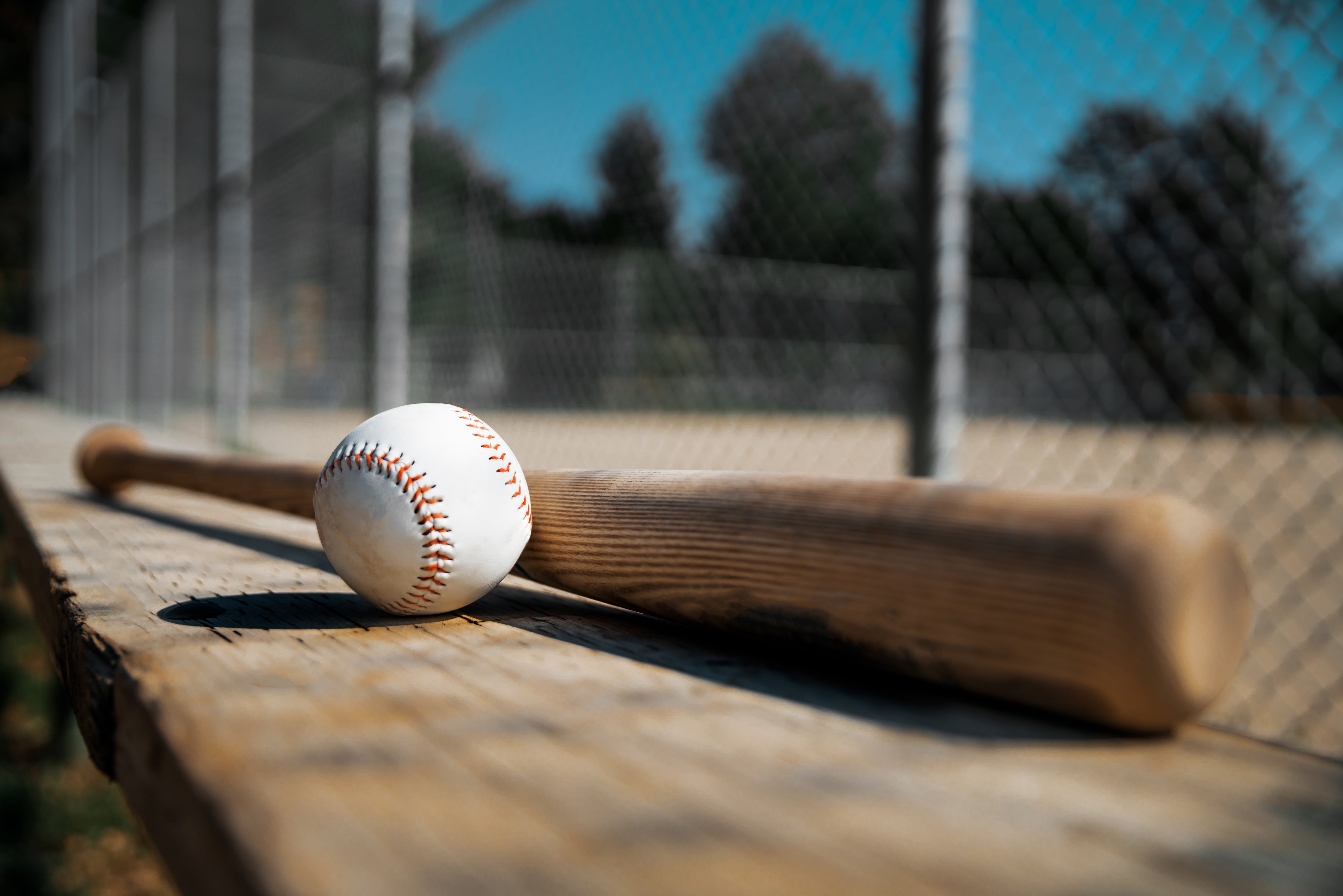 Baseball Kit
